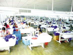 服裝加工 沙市區恒泰服飾經營部