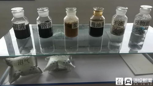 探訪青島餐廚垃圾處理廠 每天200噸餐廚垃圾如何 變廢為寶