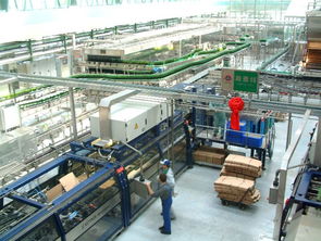 青島啤酒 一場115年的漫長回游,讓世界重新認識中國丨中國酒業 榮耀40年