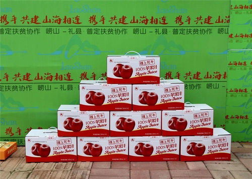 駐地干部現(xiàn)場 帶貨 ,扶貧協(xié)作農(nóng)特產(chǎn)品走上啤酒節(jié)