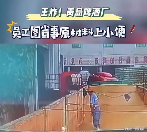 青島啤酒廠被曝工人在原料倉小便 網友 有味道了 酒精 青島市 網易訂閱