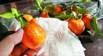 這種沙糖橘拿濕巾擦能掉色 青島人還能吃嗎 記者調(diào)查的結(jié)果是...